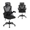 Black Mesh Ergonomic Office Chair with Adjustable Headrest, Flip-Up Armrests and Lumbar Support